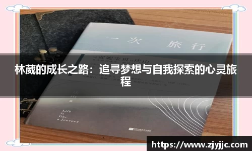 bellbet贝博APP