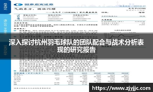深入探讨杭州羽毛球队的团队配合与战术分析表现的研究报告